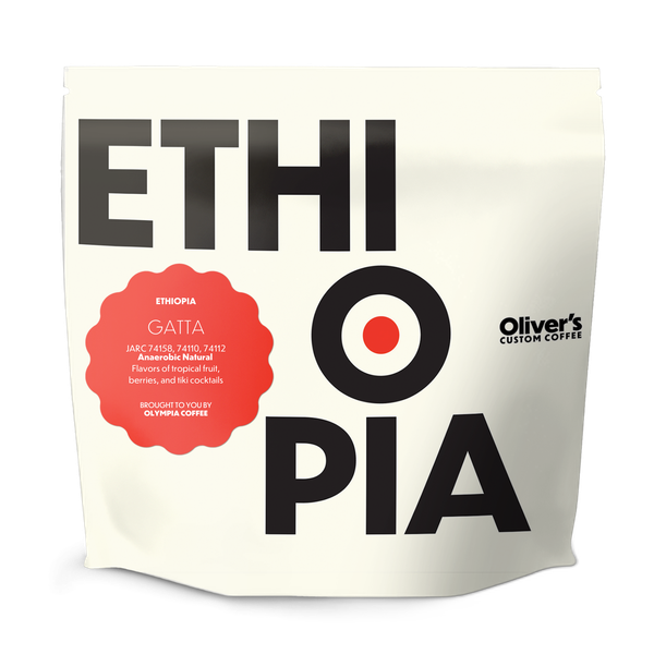 Ethiopia Rumadamo Anaerobic Natural by Olympia Coffee Roasting Co