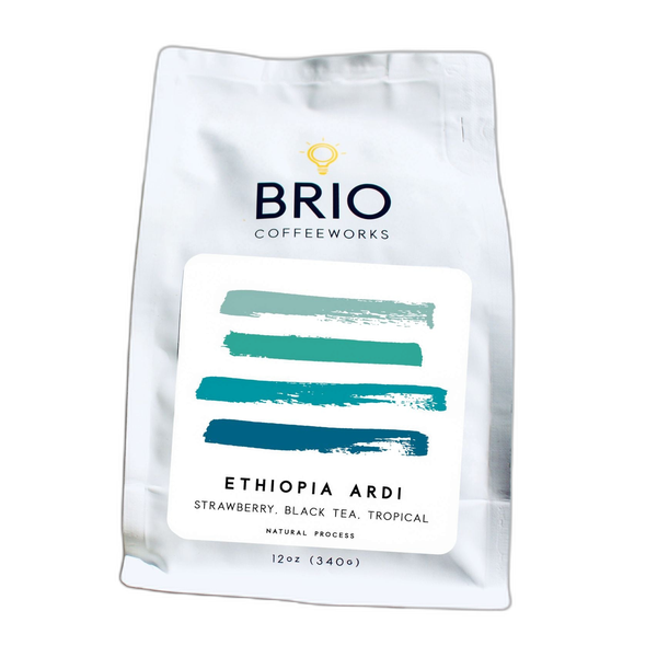 Ethiopia Sidama Ardi by Brio Coffeeworks