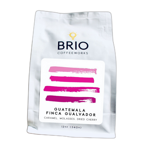 Guatemala Finca El Tarro - 12 oz. by Brio Coffeeworks
