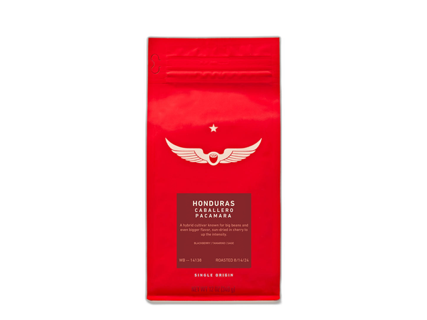 Honduras Caballero Pacamara Natural by Intelligentsia Coffee