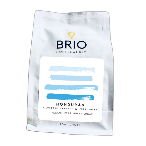 Honduras Silvestre Vasquez & Joel Lopez by Brio Coffeeworks