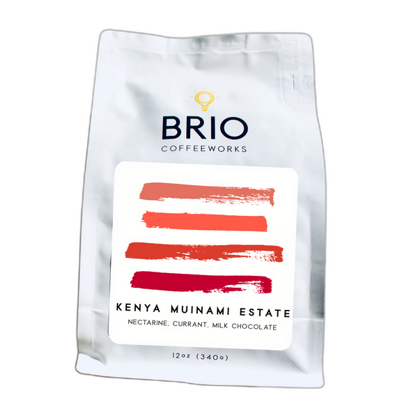 Kenya Muinami Estate by Brio Coffeeworks