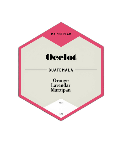 Ocelot Guatemala by Passion House Coffee Roasters